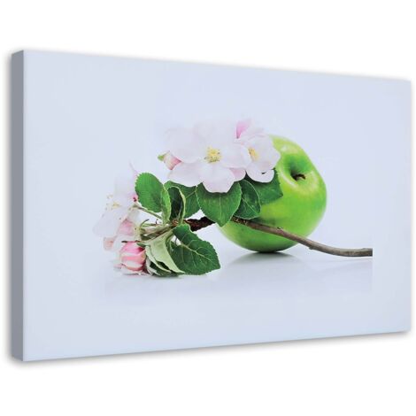 Cadre déco Pomme Fruit Nature 100x70