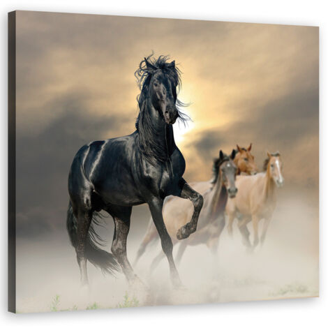 Cadre déco Troupeau de chevaux 50x50