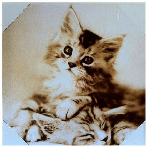 Cadre en toile chaton