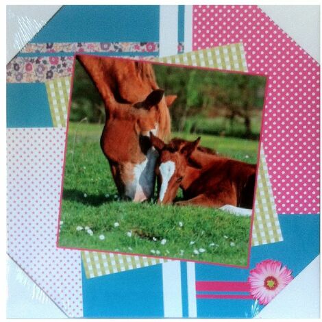 Cadre en toile cheval