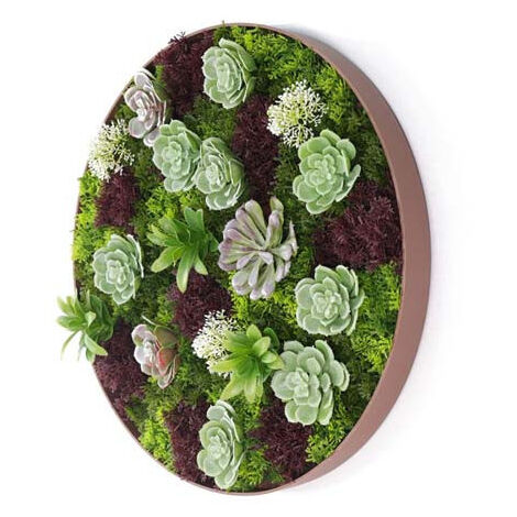 Cadre mural plantes artificielles succulentes rond