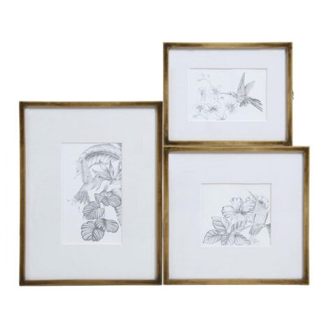 Cadre oiseaux crayonnés (set de 3) - MDF - Or - Interior's