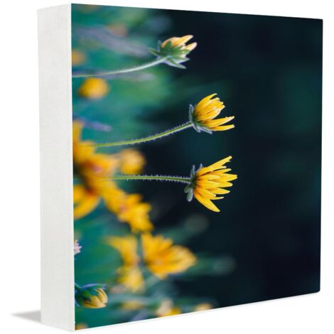 Cadre photo commémoratif, panneaux et plaques décoratifs pour nouveaux parents, boîte décorative en bois pour bureau de style rustique.