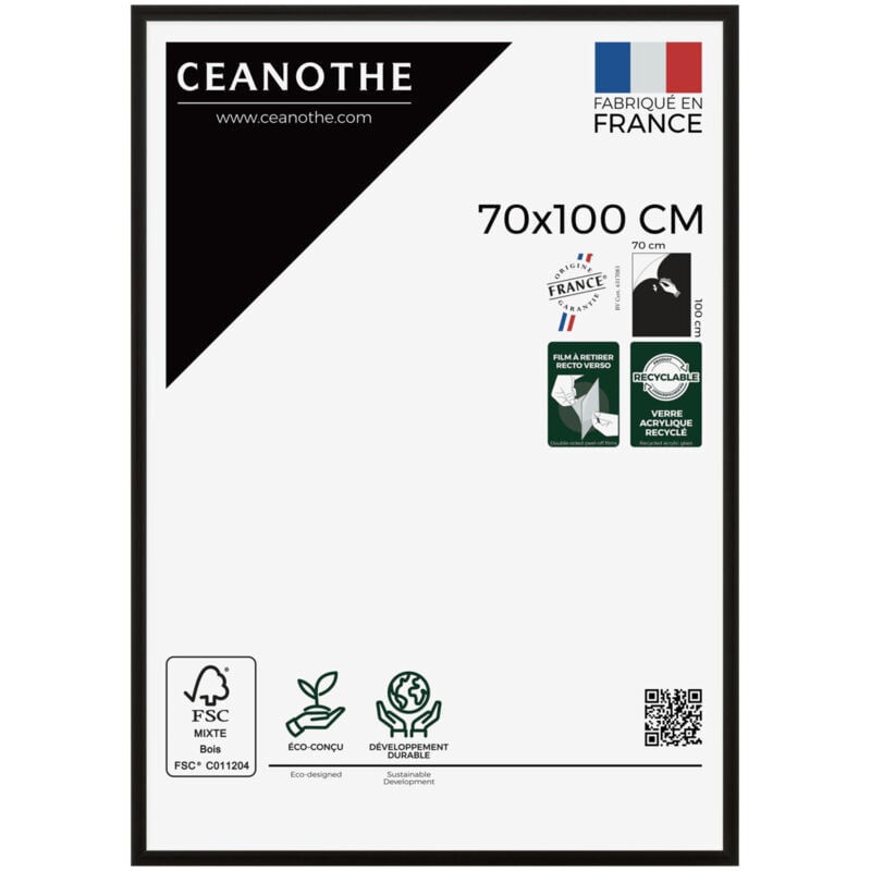 Cadre photo Essentiel exposition noir 70x100 cm