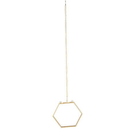 Cadre Photo Hexagonal en Verre pour Plantes Séchées - Présentation Unique de Spécimens Végétaux