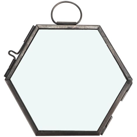 Cadre Photo Hexagonal en Verre Suspendu pour Spécimens de Fleurs Séchées et Plantes avec Pince