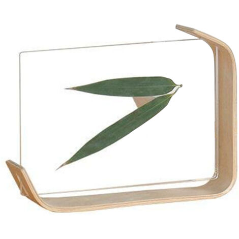 Cadre Photo Moderne en Bois et Acrylique pour Plantes - Décoration de Bureau Élégante et Design