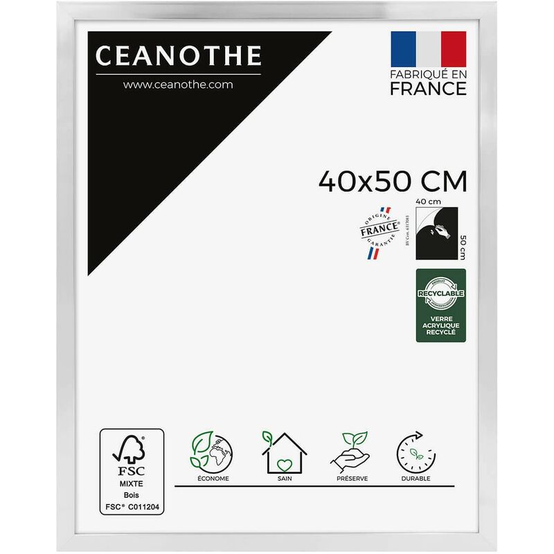 Ceanothe - Cadre Photo Acier 40x50 cm et 50x40 cm - Convient au A3 – Fabriqué en France - Cadre Precious Acier 40x50 cm - Cadre photo en Résine