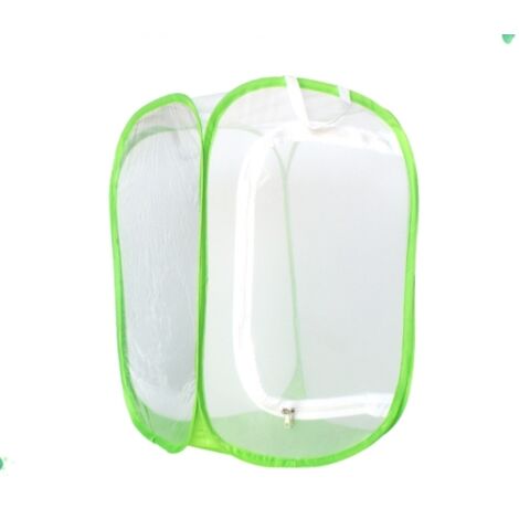 Cage à insectes pour papillons et chenilles, abri en filet, boîte d'élevage d'insectes, cage aérée, kit d'insectes pliable 394160cm Vert