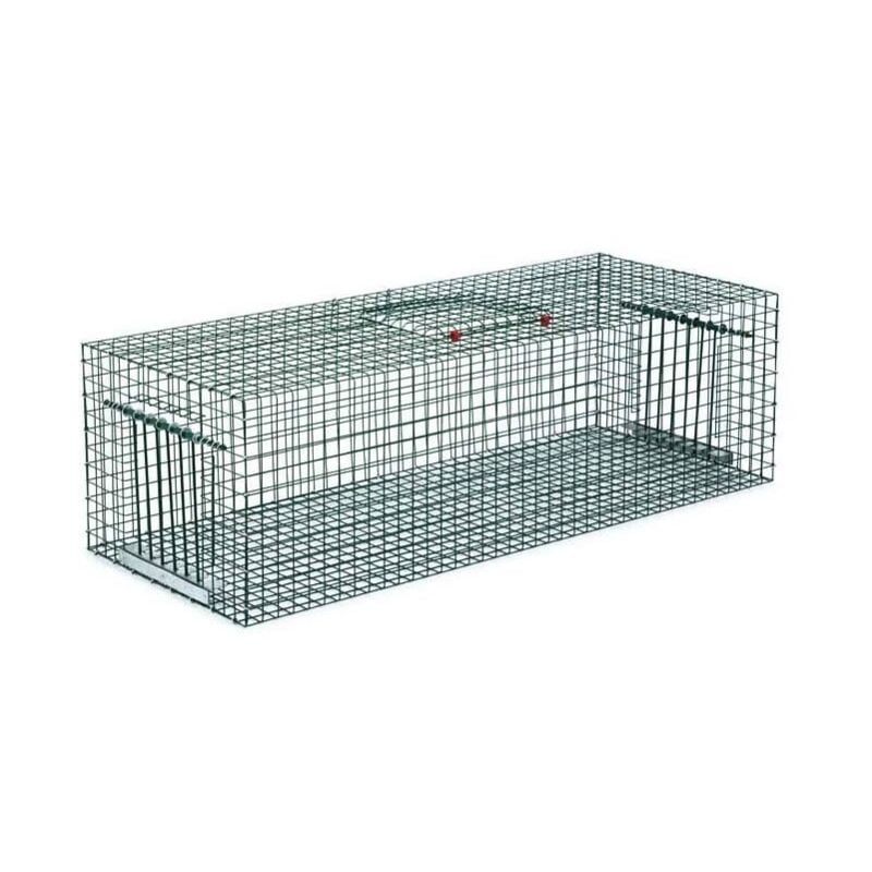 Suinga - Cage de Capture de Pigeons, Cage piège à Animaux Vivants, Oiseaux, 103x42x32 cm