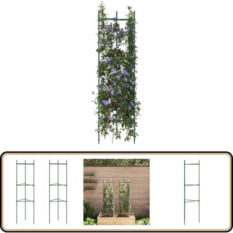 Vidaxl - Cage à tomates 2 pcs 116 cm acier et pp - Cage Tomate - Support Plante Grimpante - Tutor Tomater - Serre Jardin - Potager
