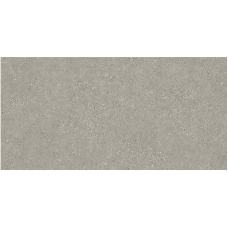 No Brand - Piège Vivant Réutilisable 75x37x34 cm Piège d'animaux Cage pour Martres,Chats,Renards,Raton Laveur