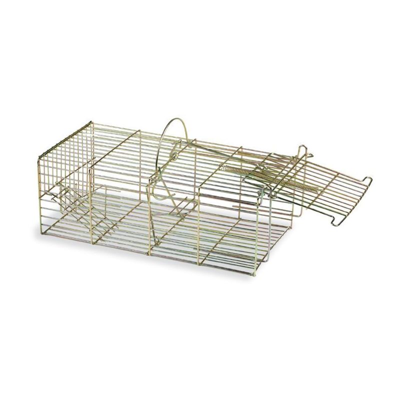 Cage Attrape Nuisible Multiprise Petit Mammifere Gaun 1836.516)