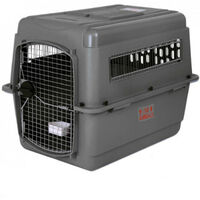 Caisse Et Cage De Transport Chien Soldes Jusquau 4