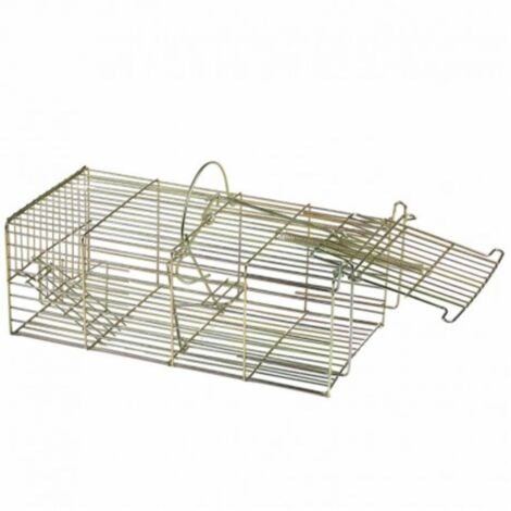 MaxxGarden Piège de Capture 100x25x28 cm - Piège à Rat sans Poison - Trappe  de capture - Pliable - Double Entrée - Réutilisable - Vert