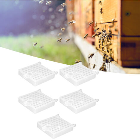 Cage de capture pour reines d’abeilles - Cage de transport et d’élevage en plastique (5 unités) - Accessoire pour apiculteurs