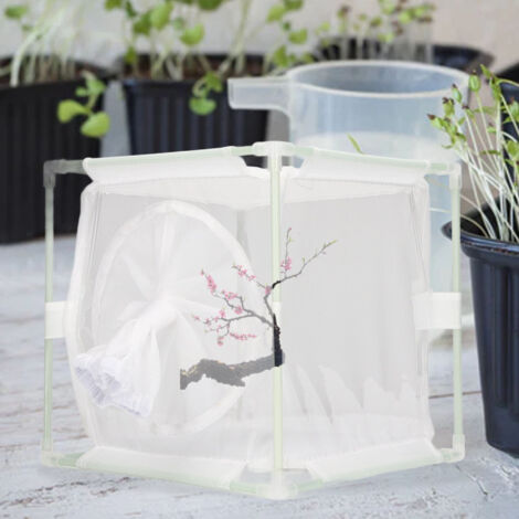 Cage D'élevage et d'Incubation pour Insectes - Cage d'Observation et de Test avec Manchette-KZQ