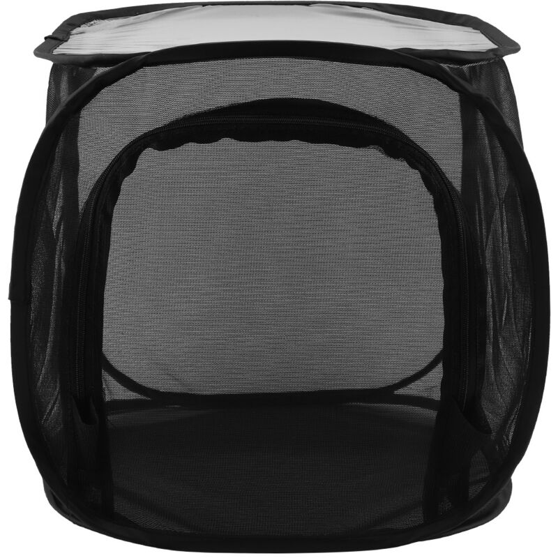 Cage d'élevage pliable pour papillons, portable et aérée