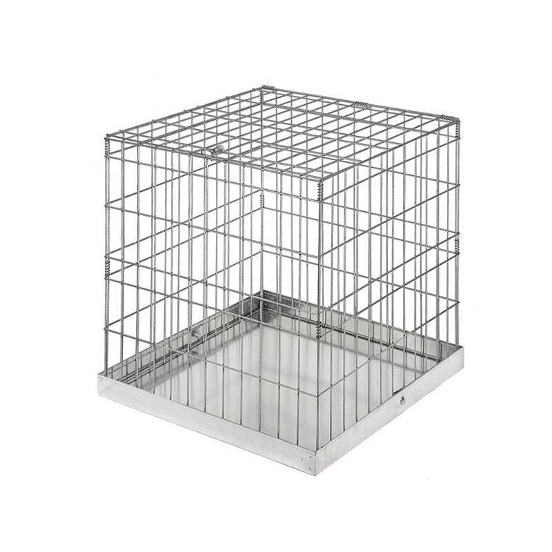 Cage d'exposition 60 x 60 cm