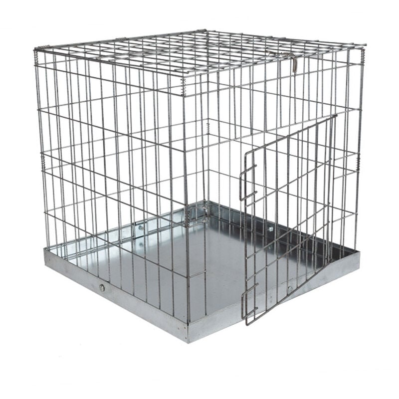 Cage d'exposition 95 x 95 cm