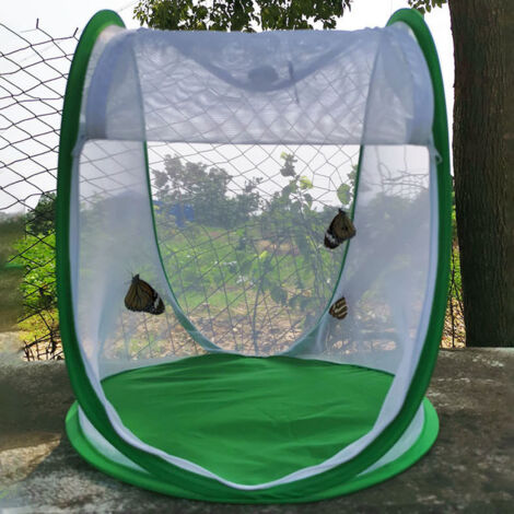 Cage D'observation Pliable pour Insectes et Papillons avec Moustiquaire Vert - KZQ