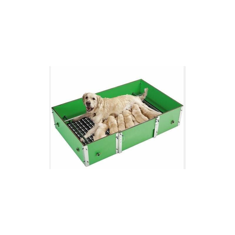 Cage élevage de chiens taille l