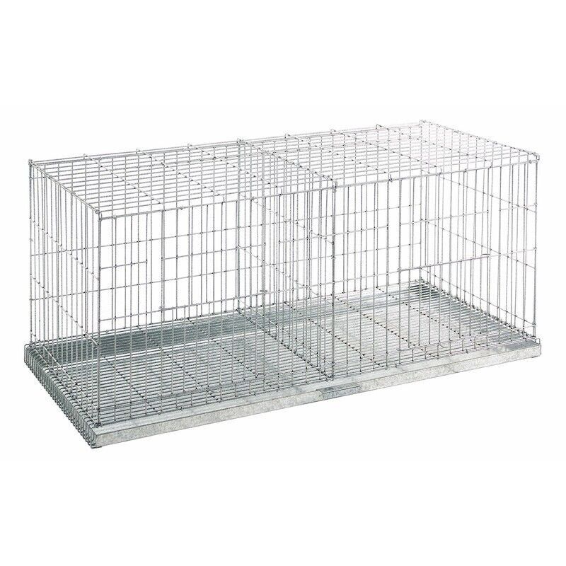 Cage exposition 2 compartiments pour pigeons
