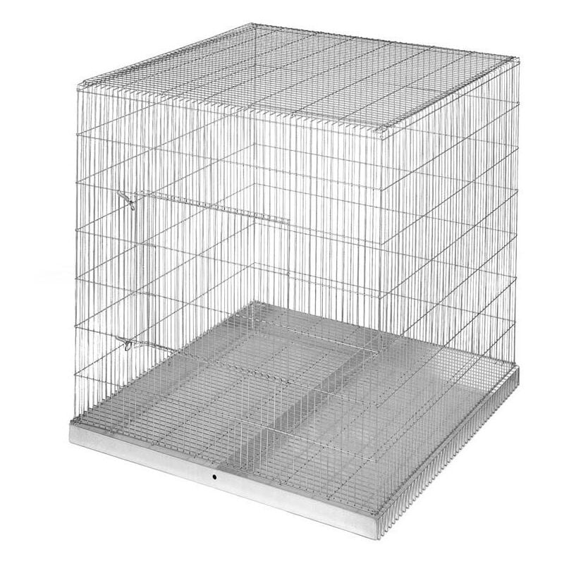 Cage exposition perroquets