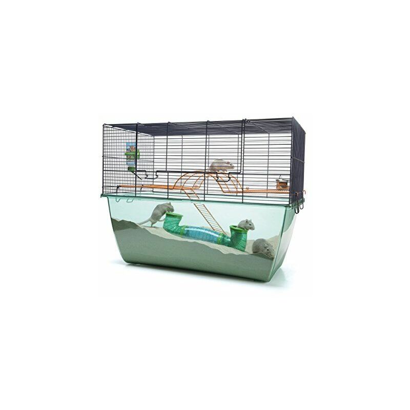 Nobby - Habitat XL / 20519 - Cage pour rongeurs - Bleu - 70 x 37 x 56 cm