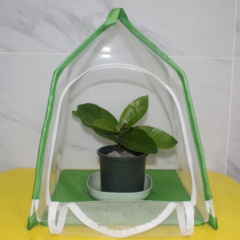 Cage Insecte Forme Maison pour Jardin Élevage Cage d'Observation Précise Cage Expérimentale Éducative-KZQ