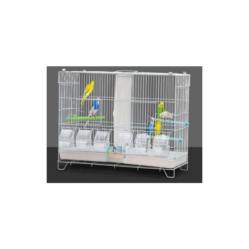 Cage Oiseau Cage d'elevage avec système de Porte Guillotine Cage 602639.5cm pour Perruches Pinsons Cockatiels Conures Inséparables Canaris Perroquets