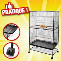 Cage Pour Oiseau