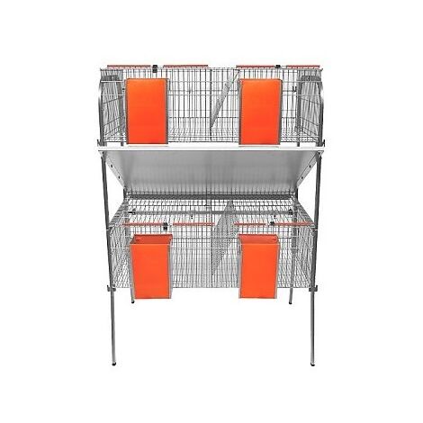 CAGE PER MODELLO Economico Rabbit-3 con Caset. 2 piani 4 dipartimenti