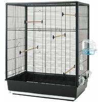 Cage Pour Oiseau