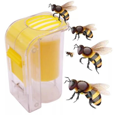 Cage/piège à reine, flacon pour étiquetage des pièges à abeilles en apiculture - AquaForge