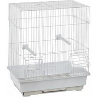 Cage Pour Oiseau