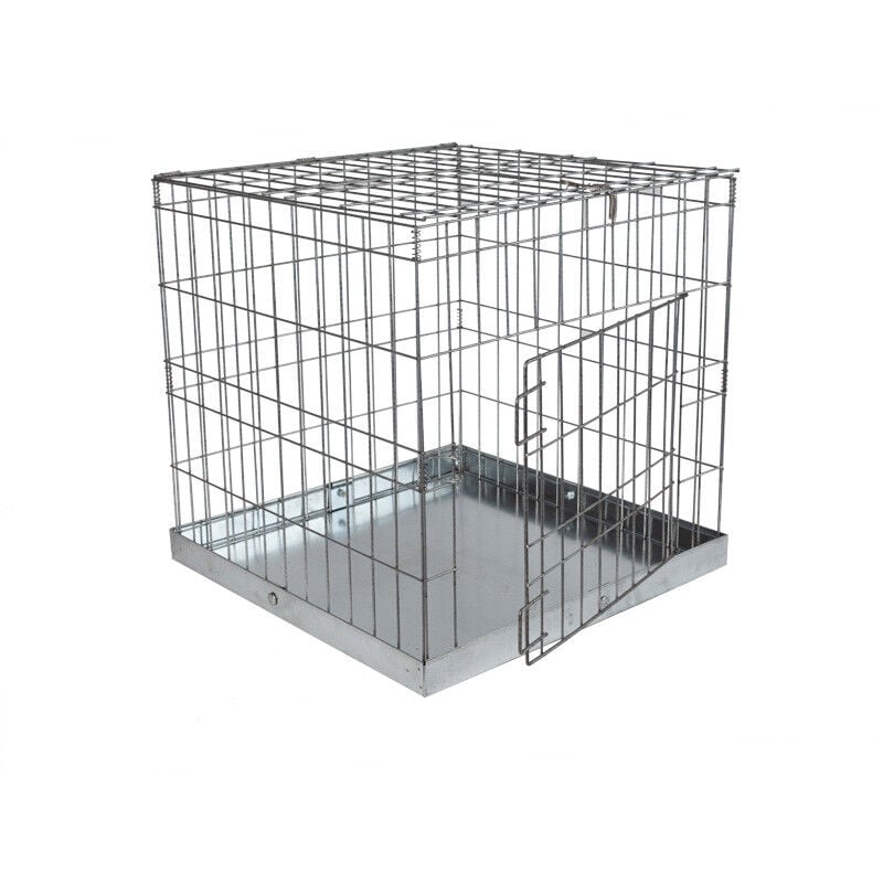 Cages d'exposition porte front