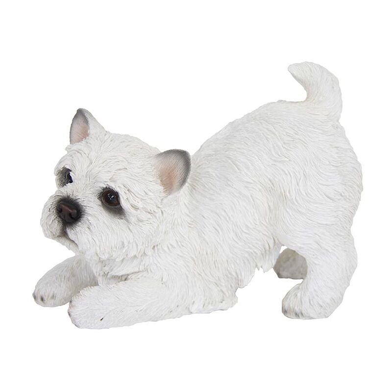 Cagnolino west highland terrier che gioca 15,2 cm statuetta da giardino