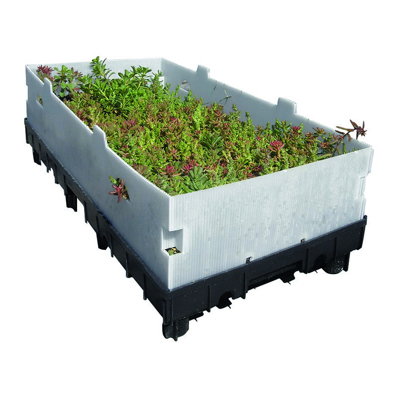 Soprema - Caisette pour Végétalisation toiture - toundra' box 60cm x 30cm