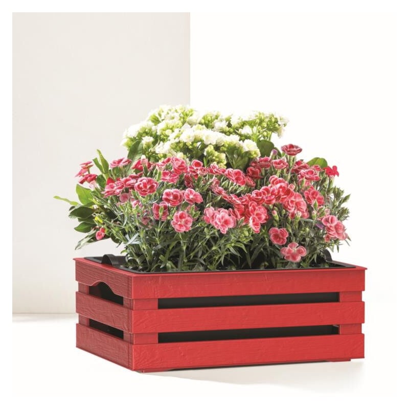Caisse à fleurs avec pot + soucoupe 'Tina' en plastique - Rouge - l 31 x p 25 cm - Livraison gratuite