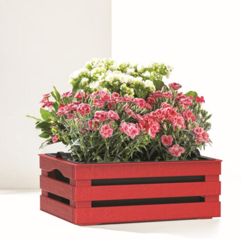 Caisse à fleurs avec pot + soucoupe "Tina" en plastique - Rouge - L 31 x P 25 cm - Livraison gratuite
