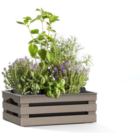 Caisse à fleurs avec pot + soucoupe "Tina" en plastique - Taupe - L 25 x P 15,5 cm - Livraison gratuite