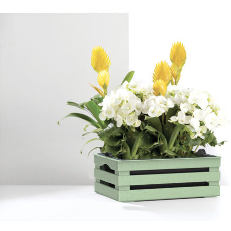 Caisse à fleurs avec pot + soucoupe "Tina" en plastique - Vert - L 25 x P 15,5 cm - Livraison gratuite