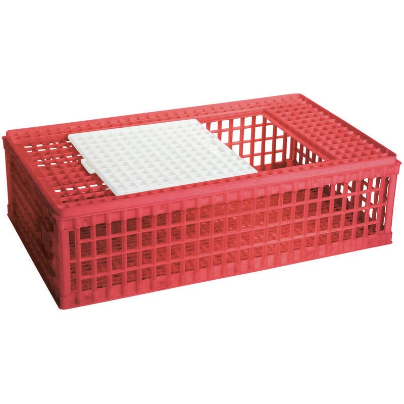 Caisse de transport pour volaille, en plastique, 1 porte