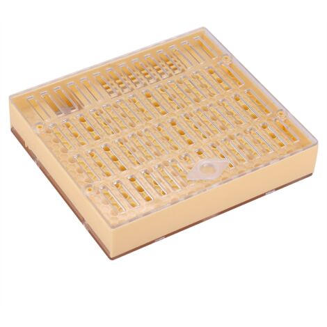Caja de cría de reinas – Kit Cupkit para el sistema Cupularve – Plástico amarillo, 14,5 x 13 x 2,8 cm – Herramienta de apicultura