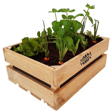 Caja de madera huero