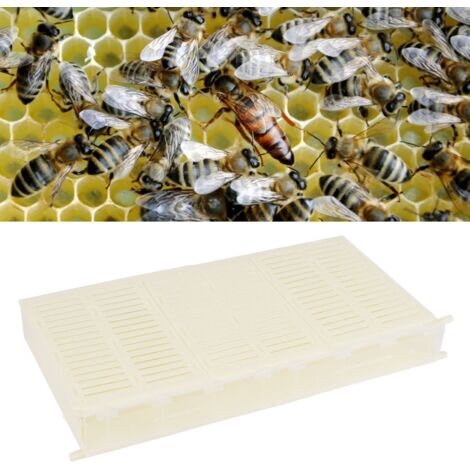 [Caja de puesta de abejas] Caja de un solo cuadro para el control de la reina, fabricada en plástico resistente, dimensiones 48,8 x 24 cm, fácil de limpiar y montar.