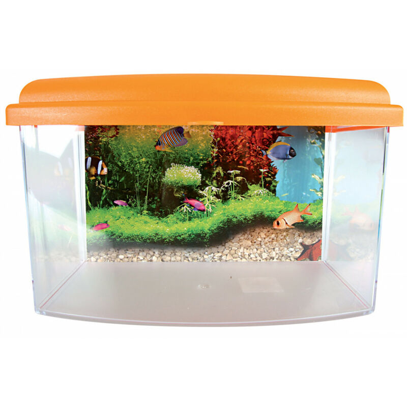 

Zolux - Caja de viaje Aqua II, Pequeña, tamaño 22 x 16 x H 14 cm. para peces. color aleatorio.