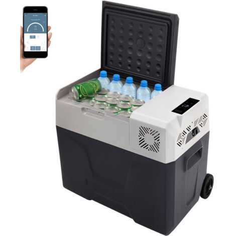 Caja del refrigerador del compresor 50L Mini refrigerador del coche acampar -20℃ APP 12V/230V