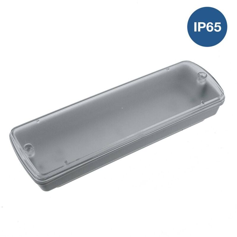 

Caja estanca de superficie IP65 para luz de emergencia